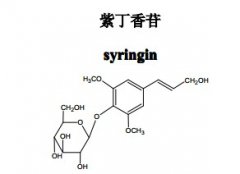 紫丁香苷