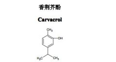 香荆芥酚对照品