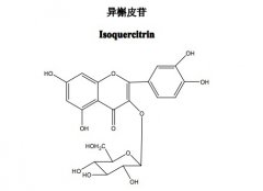 异槲皮苷对照品