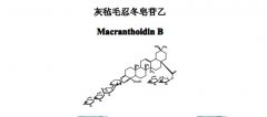 灰毡毛忍冬皂苷乙