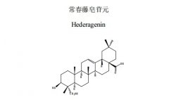 常春藤皂苷元对照品