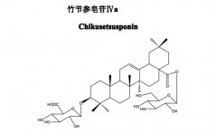 竹节参皂苷IVa对照品