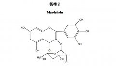 杨梅苷对照品