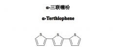 α-三联噻吩对照品