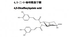 4,5-二-O-咖啡酰奎宁酸