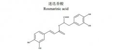 迷迭香酸对照品