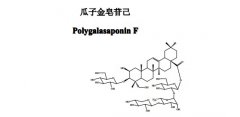 瓜子金皂苷己