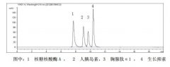 胸腺肽分子量标准