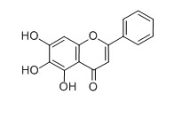 黄芩素对照品