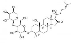 绞股蓝皂苷