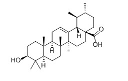 熊果酸对照品