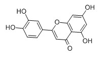 木犀草素对照品