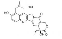 盐酸拓扑替康