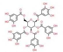 1,2,3,4,6-O-五没食子酰葡萄糖