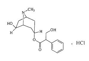消旋山莨菪碱对照品