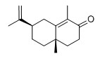 a-香附酮对照品