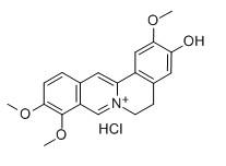 盐酸药根碱对照品