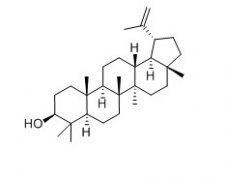 羽扇豆醇