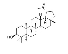 羽扇豆醇对照品