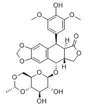 依托泊苷对照品