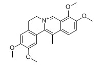 脱氢紫堇碱对照品