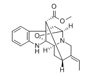 鸭脚树叶碱对照品