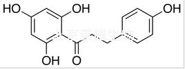根皮素标准品
