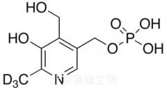 Pyridoxol-d3 5'-Phosphate标准品
