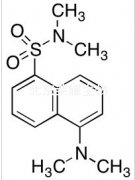 Dansyl-dimethylamine