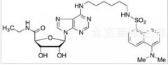 Dansylhexyl NECA标准品