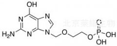 Acyclovir Monophosphate标准品