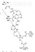 阿德福韦酯二聚体（Adefovir Dipivoxil Dimer）