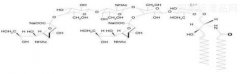 双唾液酸四己糖神经节苷脂钠