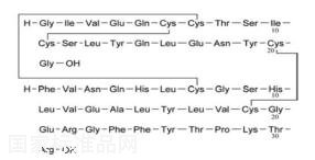 B32脱精氨酸(mono-Arg)甘精胰岛素