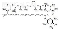 两性霉素A标准品
