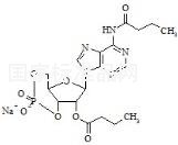 Bucladesine Sodium Salt