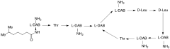 Colistin B Sulfate Salt (~90%)