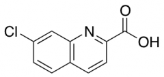7-chloroquinoline-2-carboxylic Acid