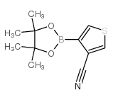 3-Cyanothiophene-4-boronic acid pinacol ester