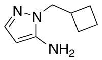 1-(Cyclobutylmethyl)-1h-pyrazol-5-amine