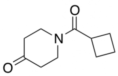 1-(Cyclobutylcarbonyl)piperidin-4-one