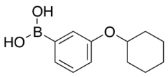 [3-(Cyclohexyloxy)phenyl]boronic Acid
