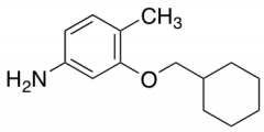 3-(Cyclohexylmethoxy)-4-methylaniline