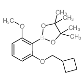 2-(2-Cyclobutylmethoxy-6-methoxyphenyl)-4,4,5,5-tetramethyl-[1,3,2]dioxaborolane