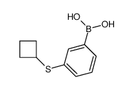 3-(Cyclobutylthio)phenylboronic acid