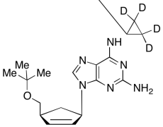 N6-Cyclopropyl-9-[(1R,4S)-4-[(1,1-dimethylethoxy)methyl]-2-cyclopenten-1-yl]-9H-purine-2,6