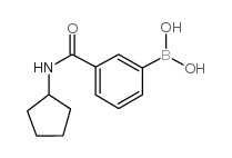 3-(Cyclopentylaminocarbonyl)phenylboronic acid