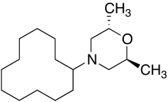 trans-4-Cyclododecyl-2,6-dimethylmorpholine