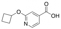 2-cyclobutoxypyridine-4-carboxylic acid
