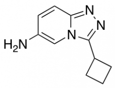 3-cyclobutyl-[1,2,4]triazolo[4,3-a]pyridin-6-amine